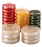 Microbiology Media Plates